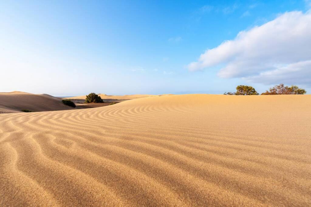 Con Jardín Y Buenas Vistas Maspalomas (Gran Canaria)